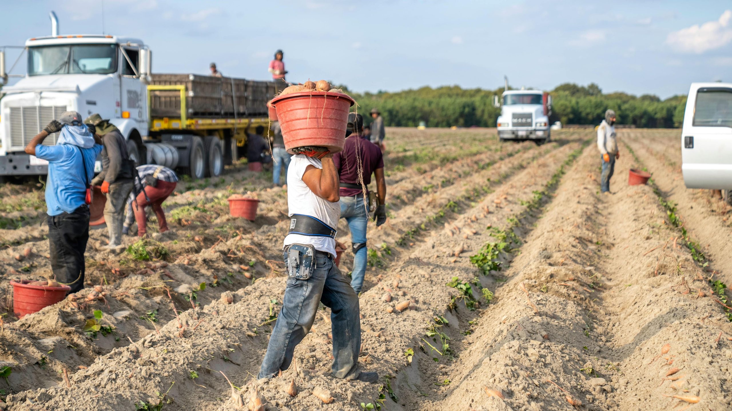 transporte laboral